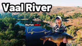 Catching Big Fish at the Vaal River  Hot Spot amp Big Carp in this Area [upl. by Burch]