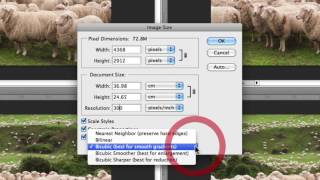 How To Resize Images In Photoshop Without Losing Quality [upl. by Birdella]