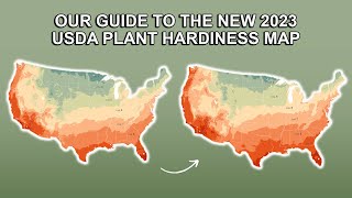 Exploring the New 2023 USDA Plant Hardiness Zone Map  What You Need to Know [upl. by Buerger747]