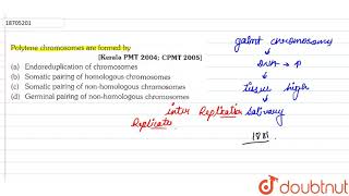 Polytene Chromosomes are formed by [upl. by Mun]