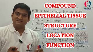 Tissue  Compound Epithelial Tissue Types  Structure  Location  Function  With हिंदी Explanation [upl. by Dorej]