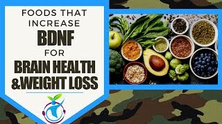 Foods That Increase BDNF for Brain Health amp Weight Loss [upl. by Enilrem]