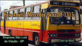 ✅Caio Amélia MercedesBenz OF1315 [upl. by Kissee]