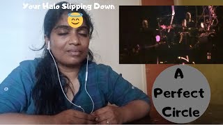 First Time Reaction  A Perfect Circle  The Noose Live [upl. by Berner]