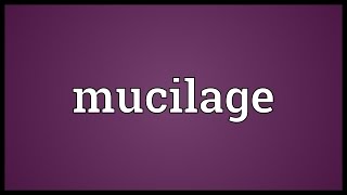 Mucilage Meaning [upl. by Isbella]