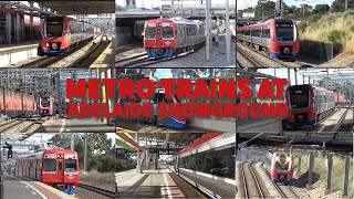 METRO TRAINS AT ADELAIDE SHOWGROUND STATION [upl. by Roti762]