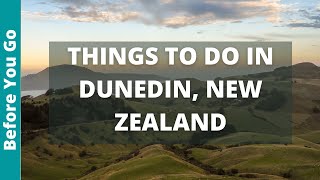 Dunedin New Zealand Travel Guide 15 BEST Things to do in Dunedin NZ South Island [upl. by Dagnah]