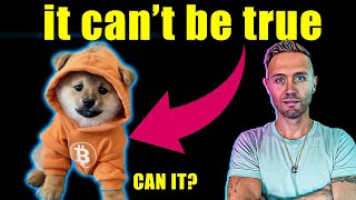 the altcoin that will 100x dog on bitcoin [upl. by Atnahsa680]