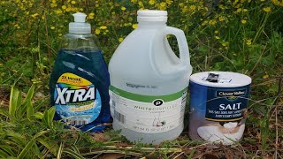 Natural Homemade Weed Killer Recipe Tested by Lawn Care Pro [upl. by Xerxes]