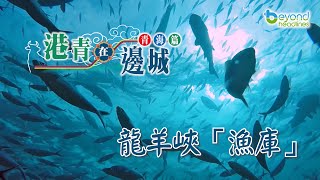 【K2秀】【港青在邊城】青海篇 第三集：龍羊峽「漁庫」 [upl. by Leumas83]