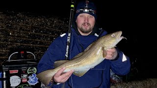 Sea Fishing For Winter Cod At Cowbar Jetty In Staithes [upl. by Rafaela339]