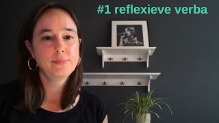 zakelijk Nederlands B2C1 reflexieve werkwoorden reflexive verbs learndutch nt2nederlandsleren [upl. by Fanchon]