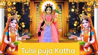 🌹Tulsi puja ki katha 🌷🌺Tulsi puja ki katha sunne se sabka kalyaan hota hai 🏵️🏵️tulsi puja🌹🌹🌹 [upl. by Yllrebmik]