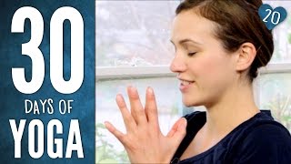 Day 20  Heart Practice  30 Days of Yoga [upl. by Nepets916]