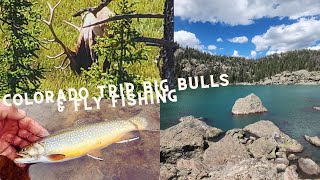 Trip to Colorado Fly Fishing amp Seeing Some Nice Bulls [upl. by Atilrahc]