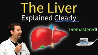 Liver Explained Function Pathology Diseases amp Cirrhosis [upl. by Halika]