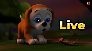 🔴 LIVE STREAM 🐶 Educational Fun with Pupi 🐞 Bedtime Stories with Manjadi [upl. by Dunstan]