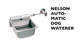 Nelson Automatic Dog Waterer [upl. by Campney]