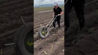 See How This Unique Fertilizer Spreader Made from Old Tires Works for Corn [upl. by Saul615]