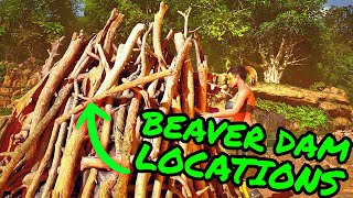 BEAVER DAM LOCATIONS Ark Survival Ascended on THE ISLAND TONS OF CEMENTING PASTE [upl. by Majka]