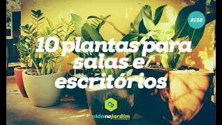 10 plantas para salas e escritórios [upl. by Divadnoj498]