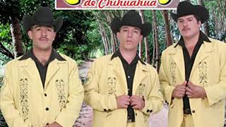 Los gallitos de Chihuahua Macario Romero [upl. by Nibaj545]