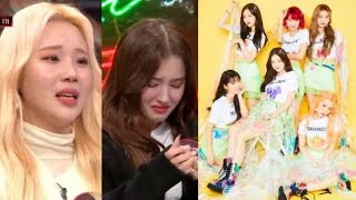 2023 MOMOLAND Dances to Random Song Compilation feat Blackpink  bts  Red Velvet [upl. by Magel]