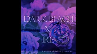 PASTEL GHOST  dark beach x iris mashup remix [upl. by Hetti]