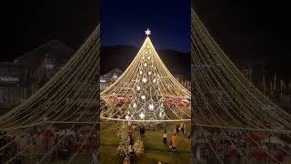 Lotte Premium Outlet Uiwang Branch in Korea Big Christmas Tree Treekoreatreechristmas [upl. by Doykos623]