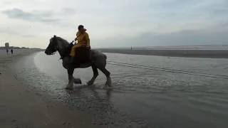 Oostduinkerke Garnaalvissen [upl. by Anik]