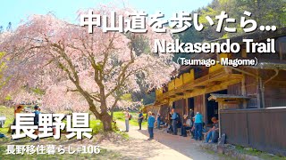 【長野移住】中山道（妻籠宿→馬籠宿）を歩いてみたら別世界だった｜中山道｜妻籠宿｜馬籠宿｜Samurai Trail｜田舎暮らし｜長野県｜4K [upl. by Novehc]