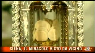 IL MIRACOLO EUCARISTICO DI SIENA  Lunico Miracolo Eucaristico in atto [upl. by Shannen41]