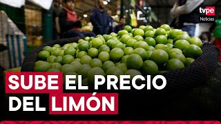 Chiclayo precio del limón continúa a la alza ¿Cuánto está hoy [upl. by Anawt856]