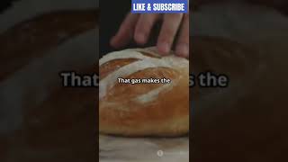 FERMENTATION explained in 60 seconds youtube fermentation yeastbread dough [upl. by Aicinad]