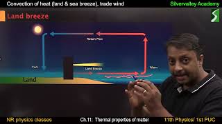 What causes land and sea breezes [upl. by Siegel]