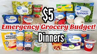 5 DINNERS  FIVE Quick Cheap Meal Ideas Made EASY  25 Grocery Budget  Julia Pacheco [upl. by Allecram390]