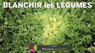 COMMENT BLANCHIR LES LÉGUMES POUR LES RENDRE PLUS SAVOUREUX SUIVEZ LES CONSEILS DE PATRICK amp ROLAND [upl. by Dilahk16]