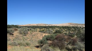 Explore 4X4 Witsand Nature Reserve Apr 2024 [upl. by Anya]