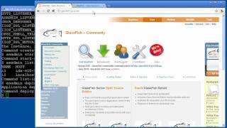 GlassFish 31 Launch Clustering Architecture amp Demo [upl. by Aerdied]