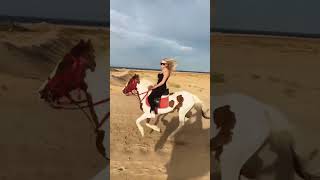 music story song horse خيل beach shorts horseriding beach travel بحر [upl. by Perron]