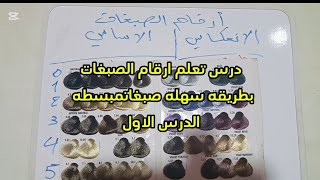 تفسير وشرح ارقام صبغة الشعر بطريقه سهله ومبسطه الدرس الاول [upl. by Lewert]