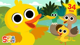 Ducks Ducks Ducks 🦆  Quacky Kids Songs  Super Simple Songs [upl. by Anaic]