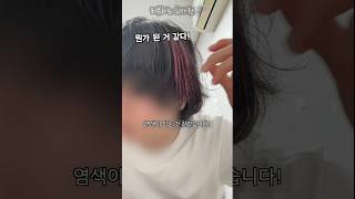 원하는 부분만 염색할 수 있다고 머리 색깔 칠하기 [upl. by Esorlatsyrc]