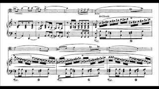 Chopin  YoYo Ma Performs Introduction and Polonaise brillante in C major Op 3 with Sheet Music [upl. by Wilone90]