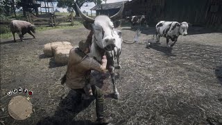 RDR2 quot what happen if you kill cow infront of cows quot [upl. by Ykcir]