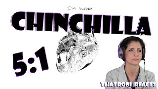 CHINCHILLA  51 Reaction [upl. by Assilym]