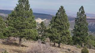 somewhere in between Capitol reef and Escalante in Dixie national forest epic views [upl. by Indnahc]