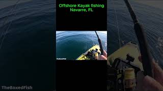 Fishing Offshore in a Hobie kayak fishing hobie kayak ocean [upl. by Dominga]