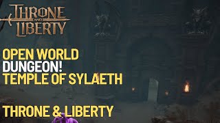 Open World Dungeon  Temple of Sylaeth  THRONE AND LIBERTY [upl. by Anitsej]