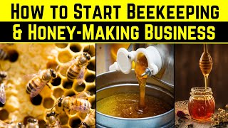 How to Start Beekeeping and Honey Making Business  Beekeeping Business Plan [upl. by Leuqer594]